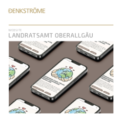PDF der Success Story: Landratsamt Oberallgäu – Website