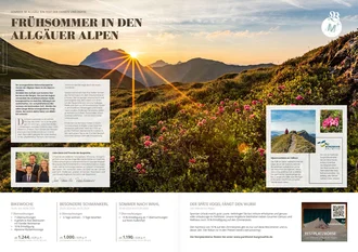 Magazin-Doppelseite mit Sonnenaufgang über den Allgäuer Alpen, blühenden Alpenrosen und Wandertipps im Frühsommer